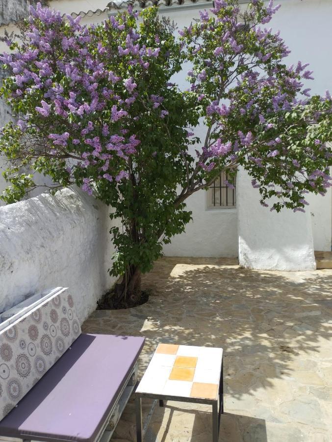 Casa Bejar, Tranquila Casa Con Chimenea, Patios, Junto A La Piscina Villa Canete la Real Екстериор снимка